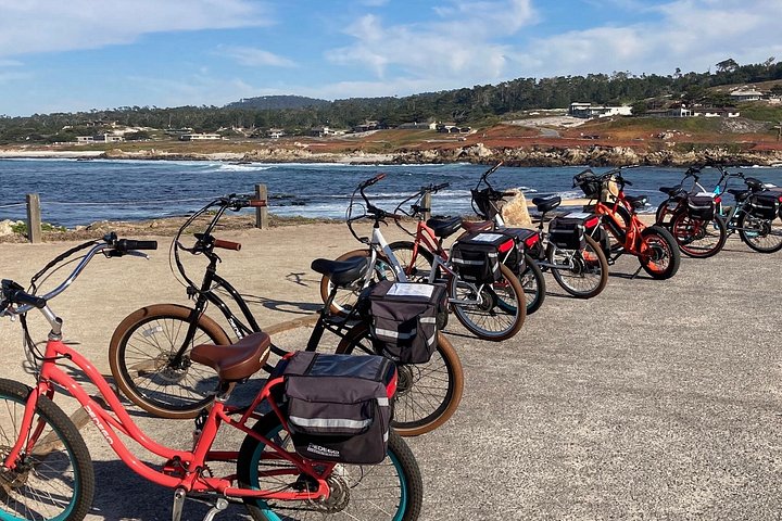 Tour guidato in e-bike lungo la panoramica 17-Mile Drive di Monterey, con viste sulla costa e monumenti, foto 16 | wizardtrip