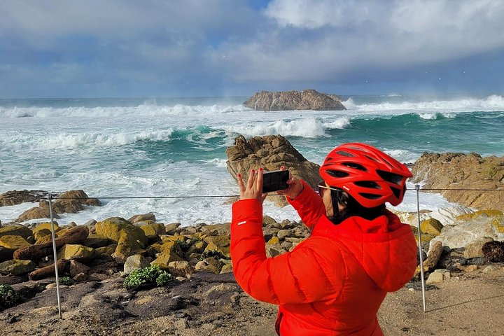 Tour guidato in e-bike lungo la panoramica 17-Mile Drive di Monterey, con viste sulla costa e monumenti, foto 17 | wizardtrip