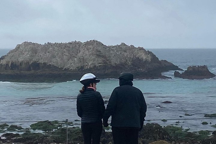 Tour guidato in e-bike lungo la panoramica 17-Mile Drive di Monterey, con viste sulla costa e monumenti, foto 18 | wizardtrip