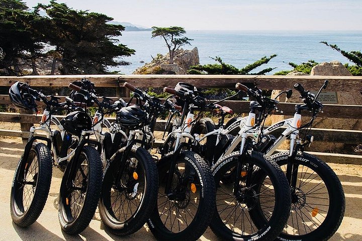 Tour guidato in e-bike lungo la panoramica 17-Mile Drive di Monterey, con viste sulla costa e monumenti, foto 22 | wizardtrip