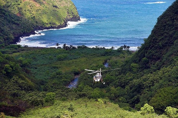 Luksuriøs helikoptertur over Mauis Hana Rainforest med landing i Wailua Valley, foto 6 | wizardtrip