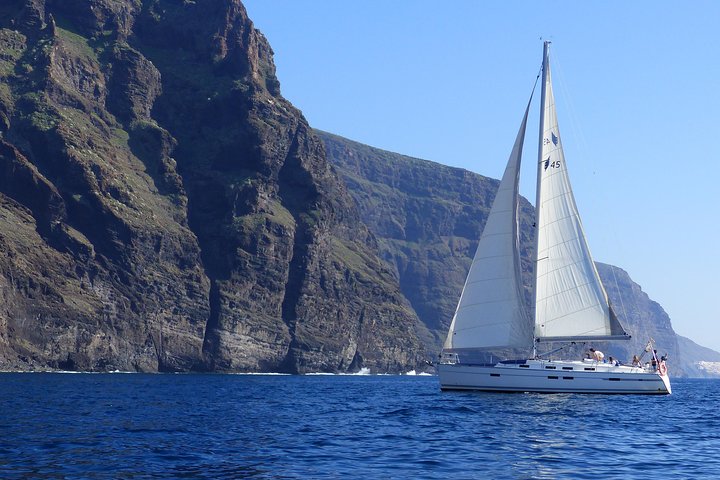Los Gigantes Whale Watching Charter by Sail Boat | wizardtrip
