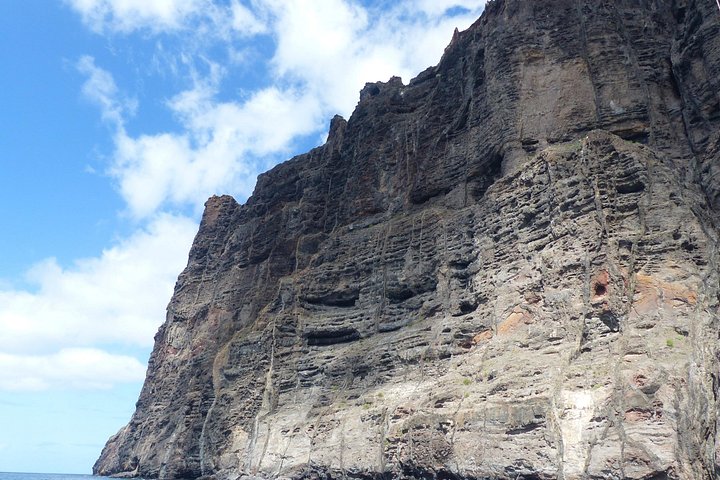 Hvalspaning og seiltur langs Los Gigantes-klippene på Tenerife, Spania, foto 13 | wizardtrip