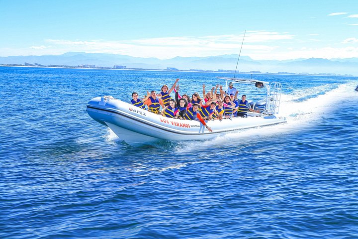 Découvrez la tyrolienne, les trajets en jet boat et les aventures dans la jungle à Puerto Vallarta, photo 10 | wizardtrip