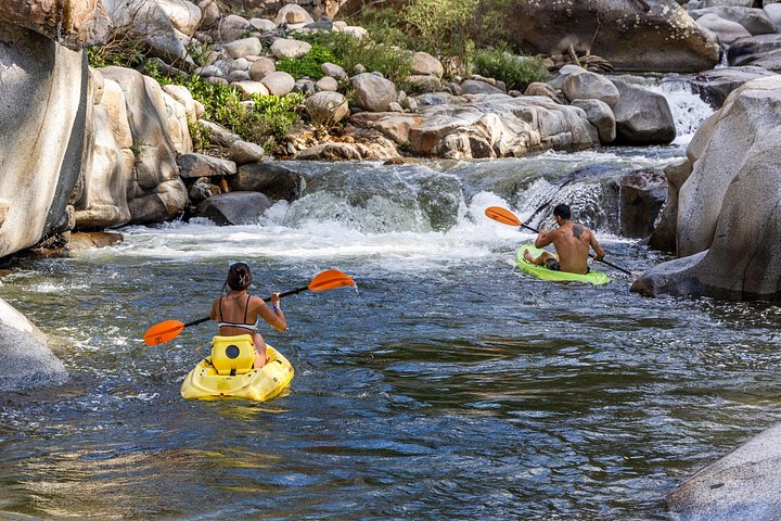 Découvrez la tyrolienne, les trajets en jet boat et les aventures dans la jungle à Puerto Vallarta, photo 29 | wizardtrip