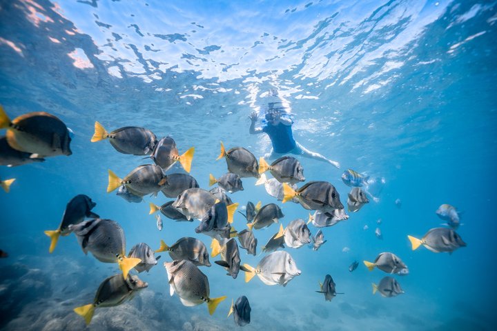 Aventura de caiaque e snorkel no Arco de Cabo San Lucas, México, foto 12 | wizardtrip