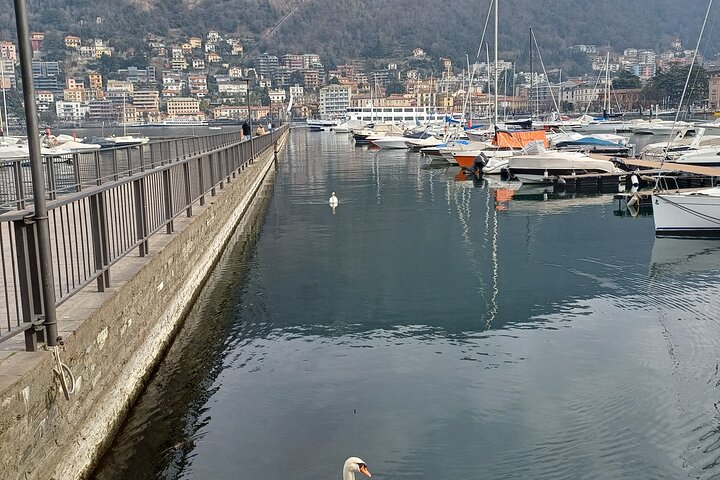 Passeio guiado de dia inteiro de Milão ao Lago de Como, Bellagio e Lugano, Suíça, com passeios de barco, foto 8 | wizardtrip