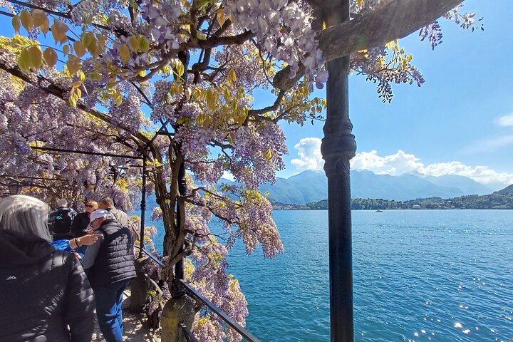 Passeio guiado de dia inteiro de Milão ao Lago de Como, Bellagio e Lugano, Suíça, com passeios de barco, foto 15 | wizardtrip