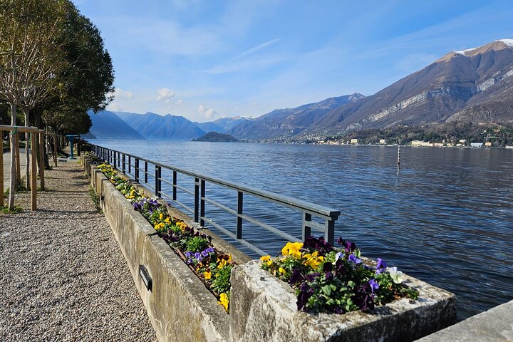 Passeio guiado de dia inteiro de Milão ao Lago de Como, Bellagio e Lugano, Suíça, com passeios de barco, foto 21 | wizardtrip