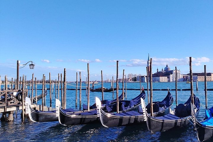 Excursion guidée d'une journée à Venise depuis Milan, avec des monuments emblématiques et une promenade en bateau, photo 9 | wizardtrip