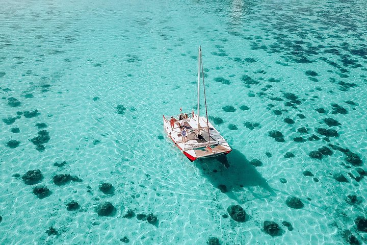 モレアのラグーンでのカタマランセーリングとシュノーケリングツアー、海洋生物との出会い、写真12 | wizardtrip