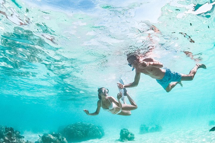 モレアのラグーンでのカタマランセーリングとシュノーケリングツアー、海洋生物との出会い、写真13 | wizardtrip