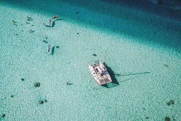 モレアのラグーンでのカタマランセーリングとシュノーケリングツアー、海洋生物との出会い、写真16 | wizardtrip