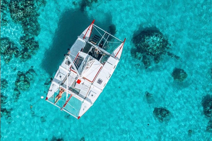 モレアのラグーンでのカタマランセーリングとシュノーケリングツアー、海洋生物との出会い、写真18 | wizardtrip