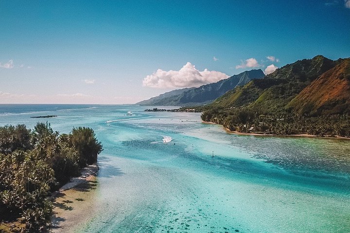 モレアのラグーンでのカタマランセーリングとシュノーケリングツアー、海洋生物との出会い、写真19 | wizardtrip