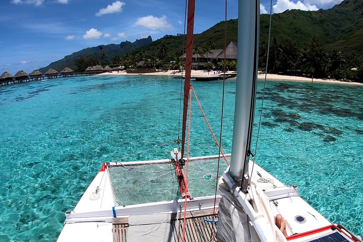 モレアのラグーンでのカタマランセーリングとシュノーケリングツアー、海洋生物との出会い、写真28 | wizardtrip