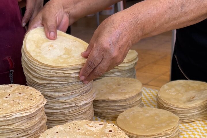 Mexikanischer Kochkurs in Cabo San Lucas und Marktbesuch | wizardtrip
