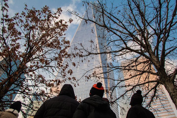Begeleide tour langs iconische bezienswaardigheden van New York City, waaronder Central Park, Rockefeller Center en het Vrijheidsbeeld, foto 23 | wizardtrip