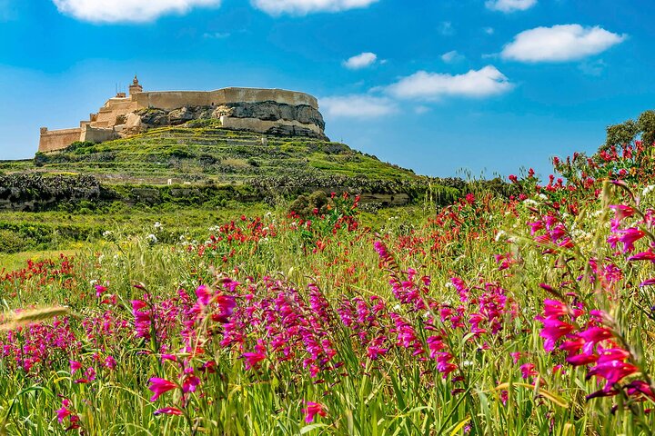 Boottocht naar Blue Lagoon, Comino en Gozo eilanden op Malta, met zwemmen en bezienswaardigheden, foto 21 | wizardtrip