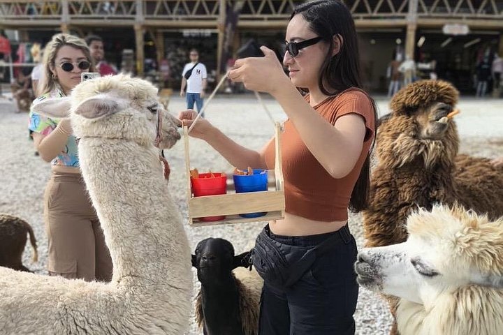 Dagsutflykt till Guatapé, Colombia, med den färgglada staden, El Peñol-klippan och en båttur, foto 14 | wizardtrip