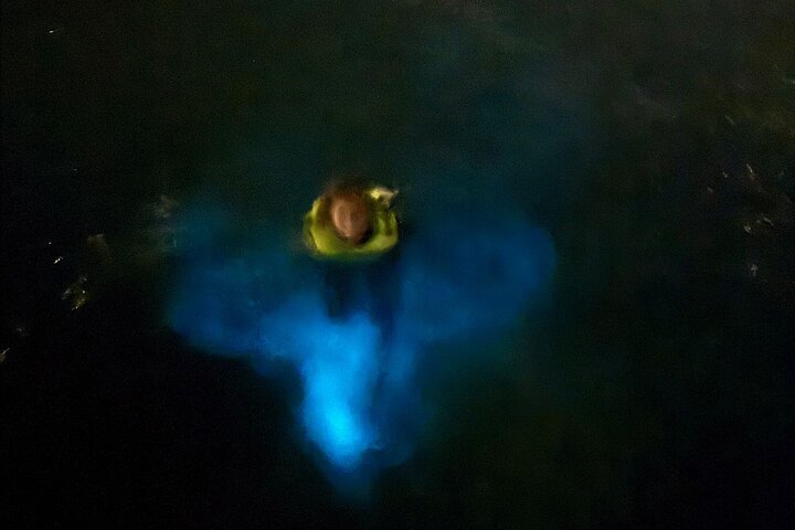 Aften bådtur i Grand Cayman for at se bioluminescens og søstjerner, foto 6 | wizardtrip