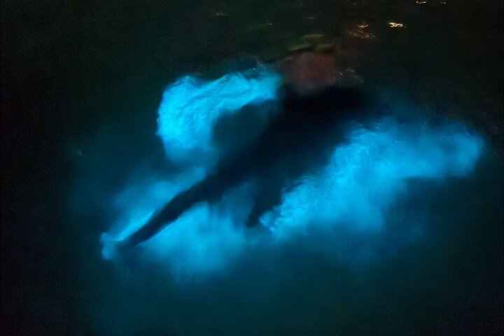 Aften bådtur i Grand Cayman for at se bioluminescens og søstjerner, foto 7 | wizardtrip
