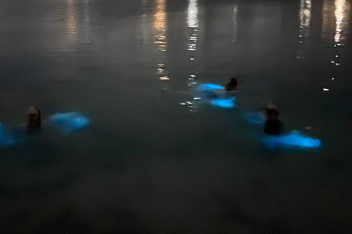 Aften bådtur i Grand Cayman for at se bioluminescens og søstjerner, foto 8 | wizardtrip