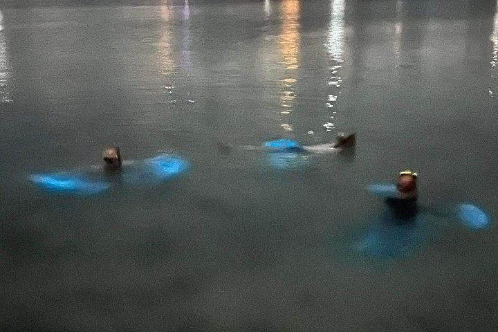 Aften bådtur i Grand Cayman for at se bioluminescens og søstjerner, foto 9 | wizardtrip