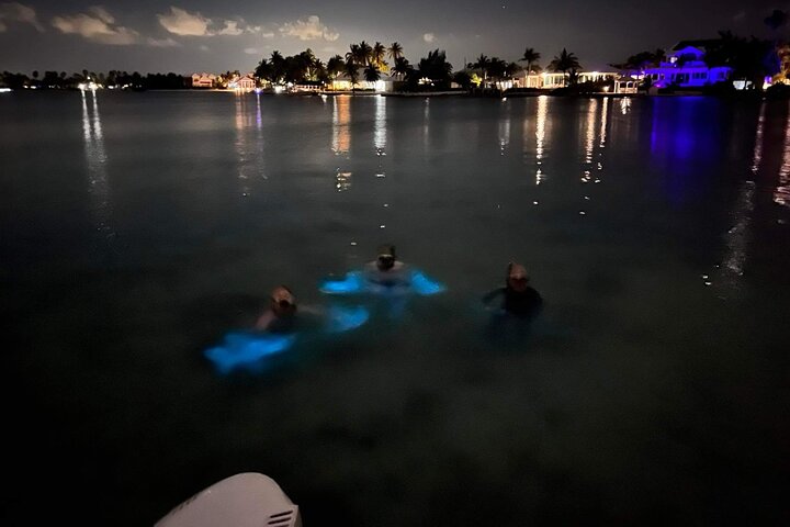 Aften bådtur i Grand Cayman for at se bioluminescens og søstjerner, foto 10 | wizardtrip