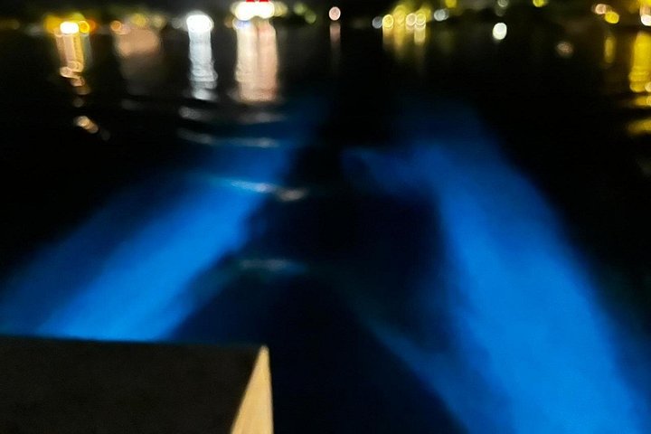 Aften bådtur i Grand Cayman for at se bioluminescens og søstjerner, foto 11 | wizardtrip