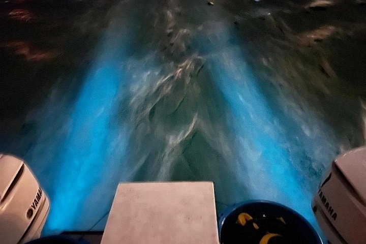 Aften bådtur i Grand Cayman for at se bioluminescens og søstjerner, foto 12 | wizardtrip