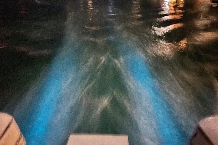 Aften bådtur i Grand Cayman for at se bioluminescens og søstjerner, foto 13 | wizardtrip