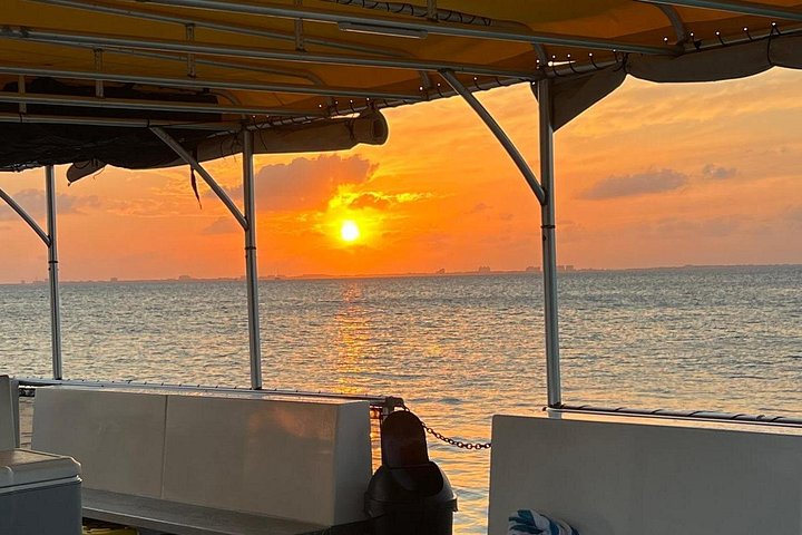 Aften bådtur i Grand Cayman for at se bioluminescens og søstjerner, foto 14 | wizardtrip