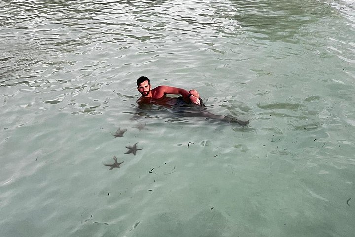 Aften bådtur i Grand Cayman for at se bioluminescens og søstjerner, foto 19 | wizardtrip