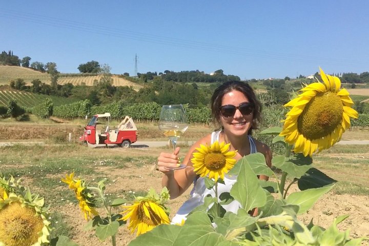 Tour œnologique en petit groupe en Toscane visitant San Gimignano, des domaines biologiques et Piazzale Michelangelo, photo 9 | wizardtrip