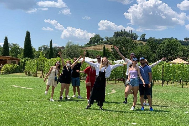 Tour œnologique en petit groupe en Toscane visitant San Gimignano, des domaines biologiques et Piazzale Michelangelo, photo 21 | wizardtrip