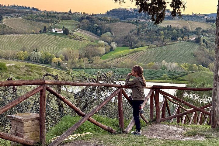 Tour œnologique en petit groupe en Toscane visitant San Gimignano, des domaines biologiques et Piazzale Michelangelo, photo 23 | wizardtrip