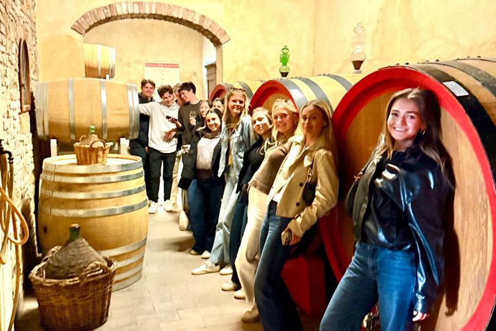 Tour œnologique en petit groupe en Toscane visitant San Gimignano, des domaines biologiques et Piazzale Michelangelo, photo 25 | wizardtrip