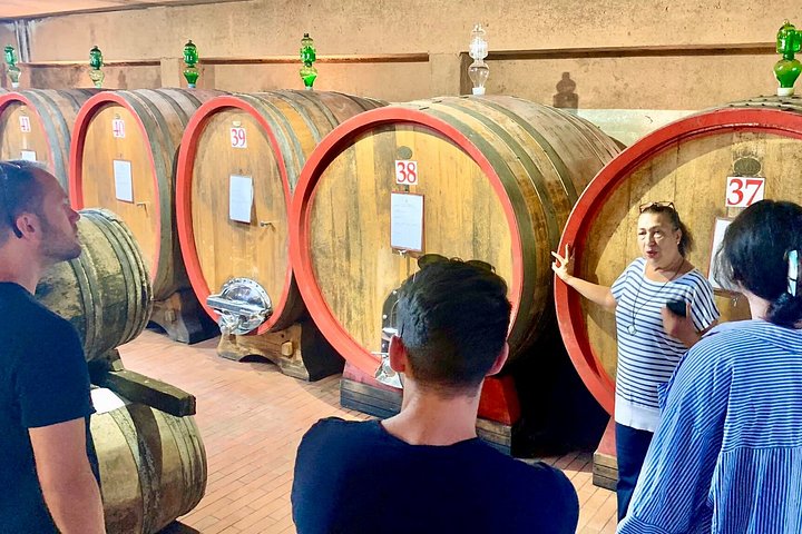 Tour œnologique en petit groupe en Toscane visitant San Gimignano, des domaines biologiques et Piazzale Michelangelo, photo 30 | wizardtrip