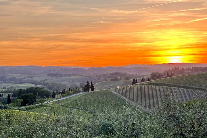 Tour œnologique en petit groupe en Toscane visitant San Gimignano, des domaines biologiques et Piazzale Michelangelo, photo 33 | wizardtrip