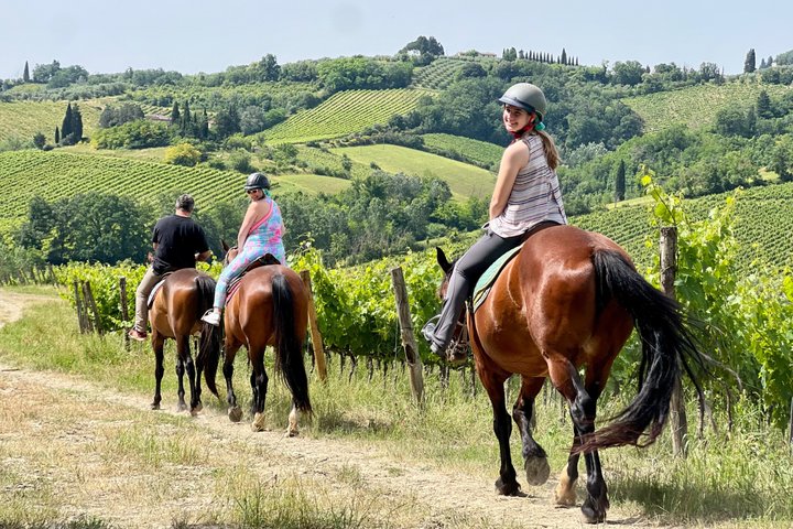 Horseback Ride, Visit San Gimignano, Lunch & Wine Tasting in Tuscany | wizardtrip