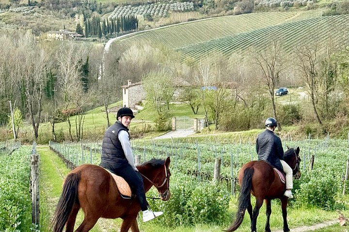 トスカーナのブドウ畑とオリーブ畑を巡る乗馬ツアー、サンジミニャーノ訪問とワインテイスティング、写真32 | wizardtrip