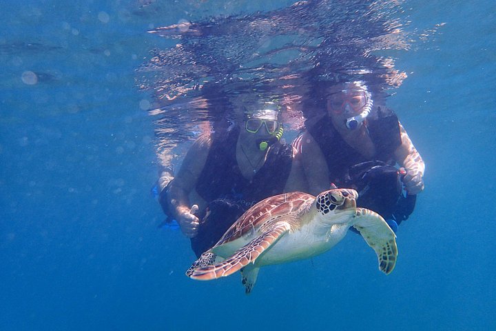 Sea scooter snorkeling adventure in Antigua, exploring coral reefs and marine life, photo 6 | wizardtrip