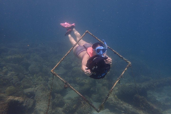 Sea scooter snorkeling adventure in Antigua, exploring coral reefs and marine life, photo 13 | wizardtrip