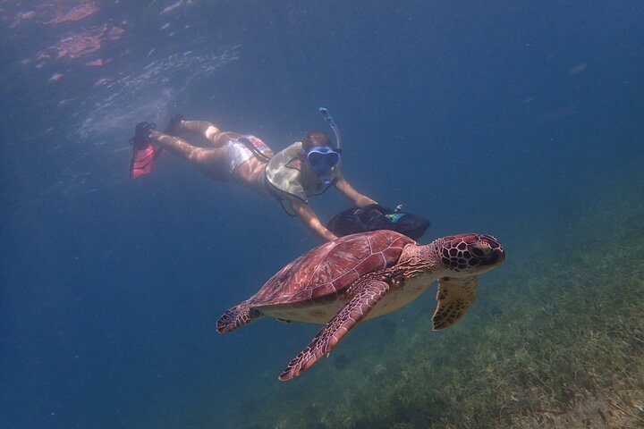 Sea scooter snorkeling adventure in Antigua, exploring coral reefs and marine life, photo 20 | wizardtrip