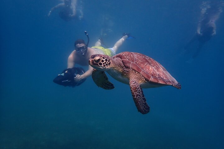 Sea scooter snorkeling adventure in Antigua, exploring coral reefs and marine life, photo 25 | wizardtrip