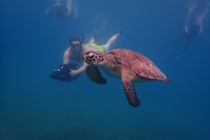 Sea scooter snorkeling adventure in Antigua, exploring coral reefs and marine life, photo 27 | wizardtrip