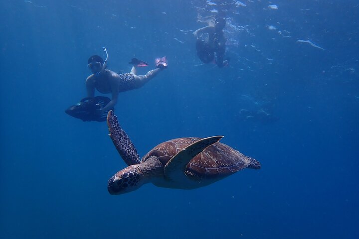 Sea scooter snorkeling adventure in Antigua, exploring coral reefs and marine life, photo 29 | wizardtrip