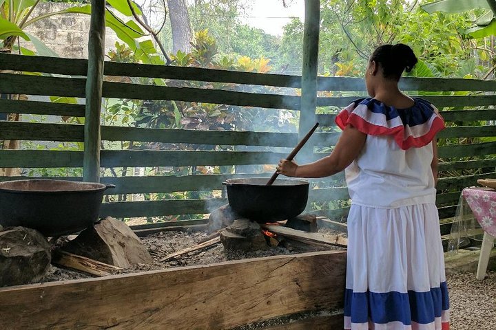 Explore o Monkeyland e uma plantação dominicana com macacos, café e cacau, incluindo recolha no hotel, foto 5 | wizardtrip
