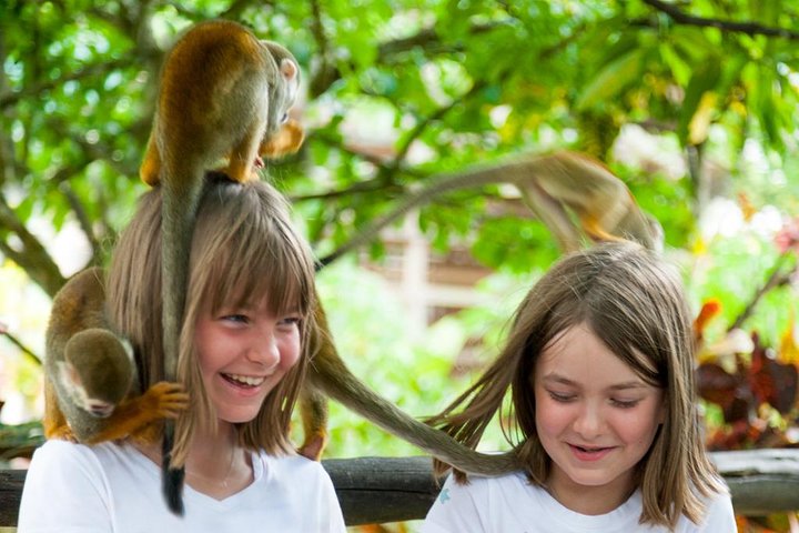 Explore o Monkeyland e uma plantação dominicana com macacos, café e cacau, incluindo recolha no hotel, foto 6 | wizardtrip